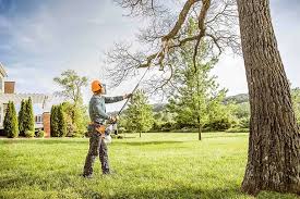 Tree and Shrub Care in Calabash, NC